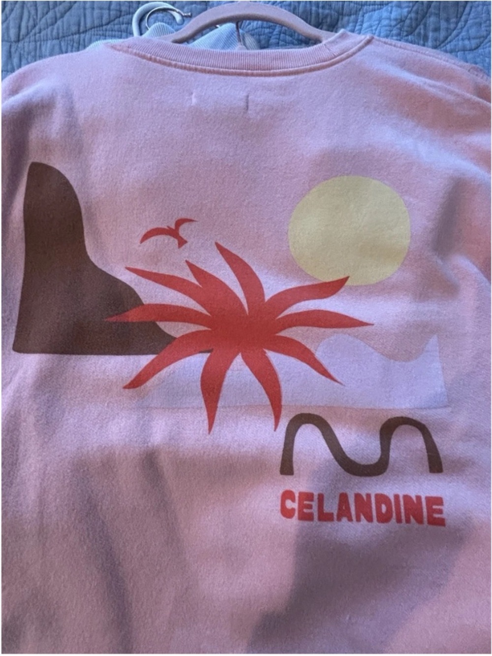 Anthropologie Celandine Pink Fleece-Lined Crewneck Sweatshirt $88 S oversized - Picture 5 of 7